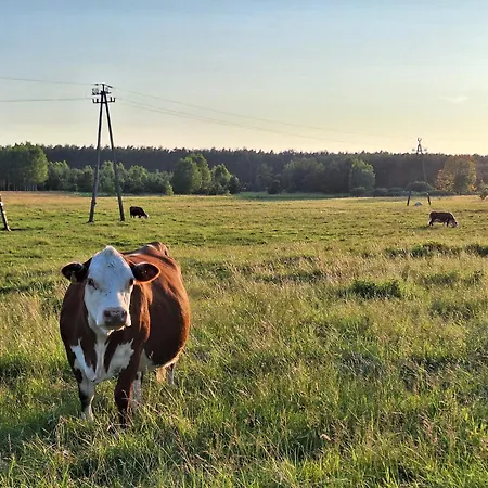 Apartamento Pod Wielkim Wozem Jerutki