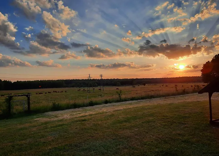 Pod Wielkim Wozem * Jerutki