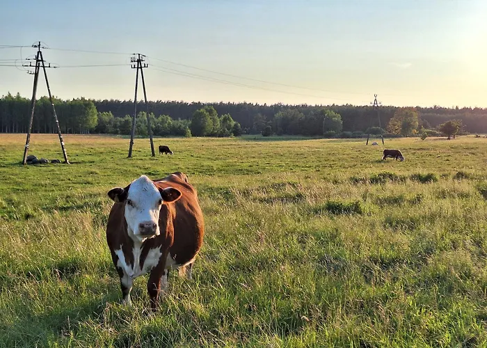 Apartamento Pod Wielkim Wozem Jerutki